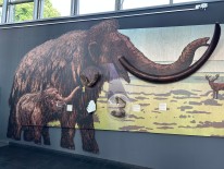 Bildbeschreibung: Auf drei großen Ausstellungswänden, die sich um eine Sitzinsel gruppieren steht: „Was verbindet uns?“, „Was bewegt uns?“ und „Was lieben wir?“. An den Ausstellungswänden sind Texte und Vitrinen mit Objekten angebracht.